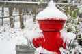 Red hydrant covered by snow Royalty Free Stock Photo