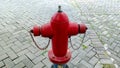 The red hydrant fire