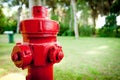 Red hydrant fire prevention system in green wood