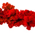 Red ink in water isolated on white. Royalty Free Stock Photo