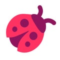 Red Insect Ladybug Top View Icon Royalty Free Stock Photo