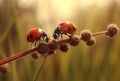 red insect nature spring beetle ladybug animal leaf macro summer. Generative AI. Royalty Free Stock Photo