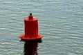 Red iron buoy in the water of the river Royalty Free Stock Photo