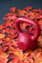 Red iron kettlebell on a black rubber gym floor, with orange and yellow maple leaves, fall fitness Royalty Free Stock Photo