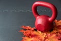 Red iron kettlebell on a black rubber gym floor, with orange and yellow maple leaves, fall fitness Royalty Free Stock Photo