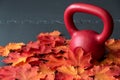 Red iron kettlebell on a black rubber gym floor, with orange and yellow maple leaves, fall fitness Royalty Free Stock Photo