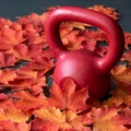 Red iron kettlebell on a black rubber gym floor, with orange and yellow maple leaves, fall fitness Royalty Free Stock Photo