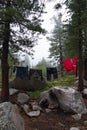 A red jacket, black pants and a jacket, a synthetic T-shirt are dried on a rope in the forest among the trees Royalty Free Stock Photo