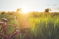 Red Japan style classic bicycle at the green field