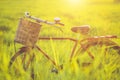 Red Japan style classic bicycle at the green field Royalty Free Stock Photo