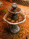 Red Japanese Maple tree leaves falling on an outdoor water fountain. Royalty Free Stock Photo