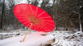 Red Japanese umbrella on snowy log Royalty Free Stock Photo