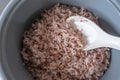 Red jasmine rice in cooker Royalty Free Stock Photo
