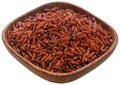 Red Jasmine rice Royalty Free Stock Photo