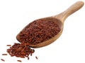 Red Jasmine rice Royalty Free Stock Photo