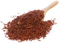 Red Jasmine rice Royalty Free Stock Photo