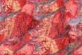 Red jasper seamless texture macro Royalty Free Stock Photo
