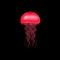 Red jellyfish on a black background. Vector Royalty Free Stock Photo