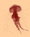 Red jellyfish on light background, vector illustration Royalty Free Stock Photo