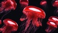 red jellyfish in the sea jellyfish jelly fish in red color over black background Royalty Free Stock Photo