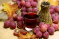 Red jucie drinks farm made wicker bottle and grapes Royalty Free Stock Photo