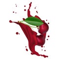 Red Juice cherry splashing. Juicy cherries splash packaging tem Royalty Free Stock Photo
