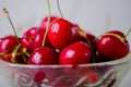 Red, juicy cherries in a glass vase on a white background, black background