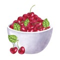 Red juicy cherry berries, bowl. Healthy diet. Hand drawn watercolor illustration isolated on white background. Design Royalty Free Stock Photo