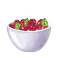 Red juicy cherry berries, bowl. Healthy diet. Hand drawn watercolor illustration isolated on white background. Design Royalty Free Stock Photo