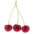 Red, juicy cherry isolated on white background Royalty Free Stock Photo
