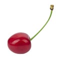 Red juicy cherry isolated on white background Royalty Free Stock Photo