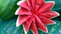 Red juicy cut watermelon in a form of flower on green background for sales. Selling farm products in a local market. Concept of fo