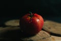 Red juicy and desirable tomato on a piece of wood on a black background