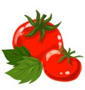 Red juicy fresh tomatoes hand painting illustration Royalty Free Stock Photo