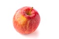 Red juicy macintosh apple Royalty Free Stock Photo