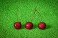 Red juicy macro fresh three cherries with green fake grass textured background Royalty Free Stock Photo