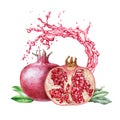 Red juicy pomegranate watercolor illustration. Half cut and whole organic punica fruit close up hand draw high quality image. Royalty Free Stock Photo