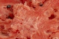 red and juicy pulp of ripe watermelon close-up Royalty Free Stock Photo