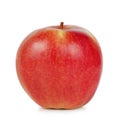 Red juicy ripe apple Royalty Free Stock Photo