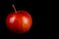 Red, juicy ripe apple on a black background close-up Royalty Free Stock Photo