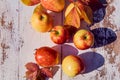 Red juicy ripe apples on an old wooden table on a background of autumn nature in the garden