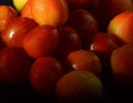 Red Juicy Tomato vegetable - close up Royalty Free Stock Photo