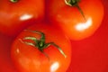 Red Juicy Tomatoes Royalty Free Stock Photo