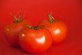 Red Juicy Tomatoes Royalty Free Stock Photo