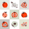 Red juicy tomatoes. Cut, slice, leaves, flowers, seeds tomato. Cartoon vegetable set. Flat set of vector food icons