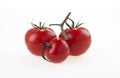 Red juicy tomatoes on a twig Royalty Free Stock Photo