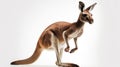 Red kangaroo against white background. Generative AI Royalty Free Stock Photo