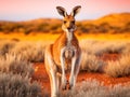 Ai Generated illustration Wildlife Concept of Red Kangaroo-Australia