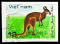 Red Kangaroo (Macropus rufus), World wild animals serie, circa 1981
