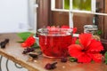 Red karkade hibiscus red sorrel tea in glass mug with dry tea cu Royalty Free Stock Photo